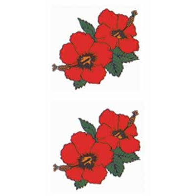 �^�g�D�[�V�[���@�n�C�r�X�J�X�i�^�g�D�[�E�h�V�[���j