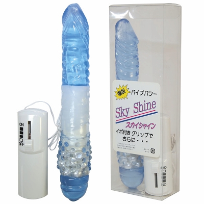 �X�J�C�V���C���i�r�A���j