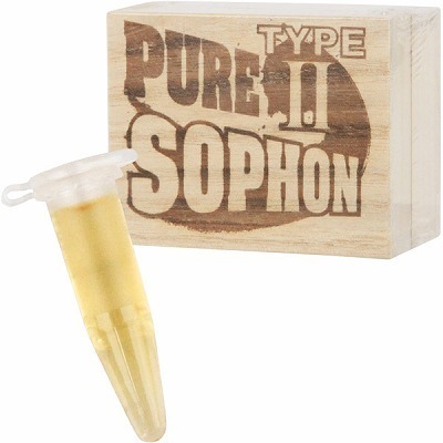 �s���A�\�t�H���@�s�x�o�d�Q�@�i�R�{����j�i�G�b�`�R�X���j