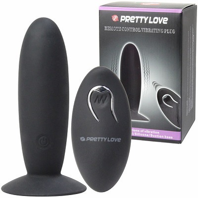 �v���e�B���u�@�i�����[�g�R���g���[���o�C�u���[�e�B���O�v���O�j�i�����R���j