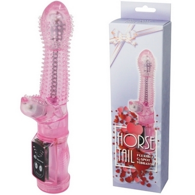 �z�[�X�e�C���i�o�C�u�j