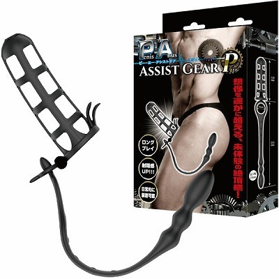 �o�`�A�V�X�g�M�A�@�i�v���O�j�i�A�i���g���O�b�Y�j