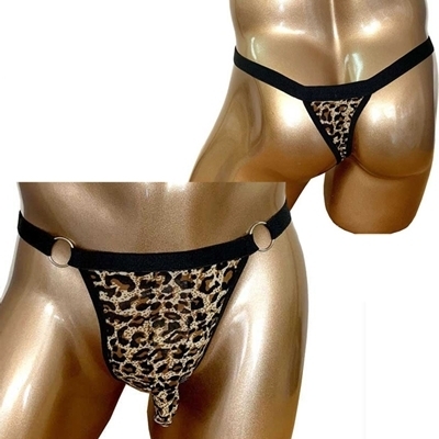 ���a�����c�������������C���h�r�L�j�p���c�i�v�|�O�P�T�j�@���I�p�[�h�i�����W�F���[�j