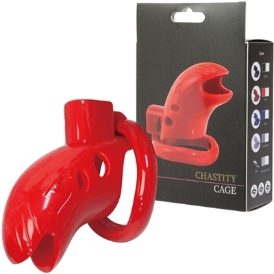 �`�F�X�e�e�B�P�[�W�@�i���b�h�j�iSM�E�S����j