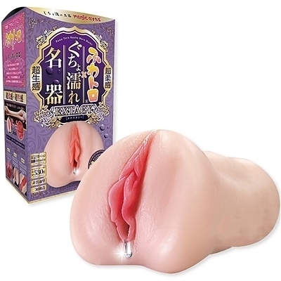 �ӂ�g��������G�ꖼ��@�i�G�N�X�^�V�[�j�i�I�i�z�[���j