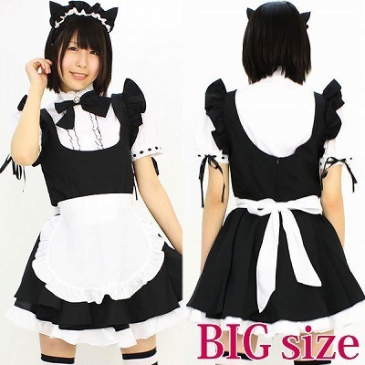 �}�I���C�h�@�a�h�f�i�R�X�`���[���j