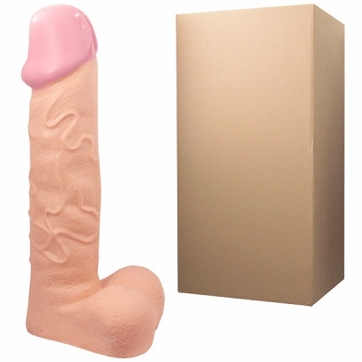 �V��V���@���i�����ق��j�i�������E�f�B���h�j