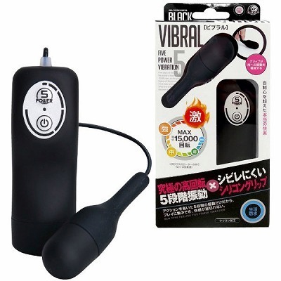 �r�u�����@�i�u���b�N�j�i���[�^�[�j