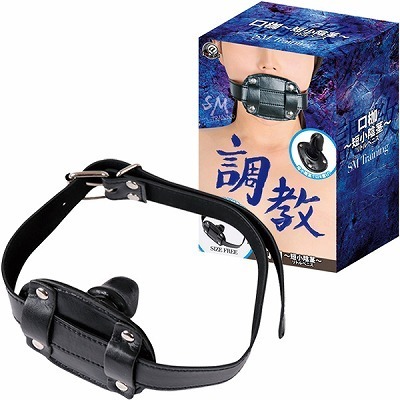 �����@�i���g�@�Z���A�s�j�iSM�E�S����j