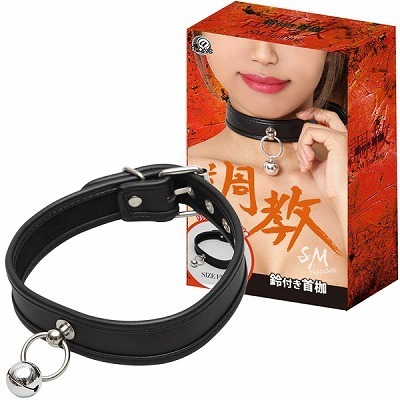 �����@�i��t����g�j�iSM�E�S����j