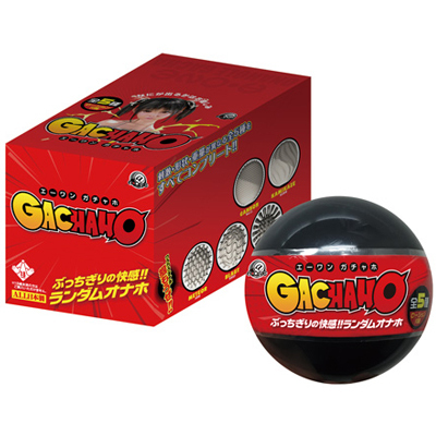 �G�[�����K�`���z�a�n�w�@�Q�T�Z�b�g�i�Z�b�g���i�j