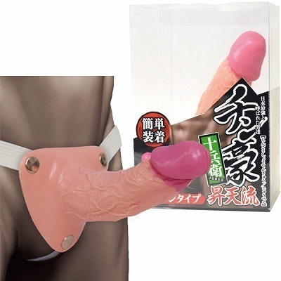 �`�����@�i���V���y�j�o���^�C�v�j�@�\���q�i�������E�f�B���h�j