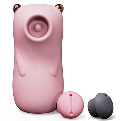 ���z������a�����@�a�������@�i�s���N�j�i���[�^�[�j